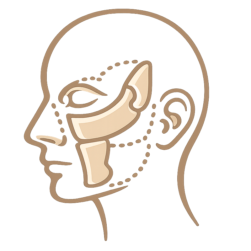 Ícone de prótese bucomaxilofacial em Joinville - SC